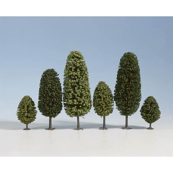25 ARBOLES DE HOJA CADUCA