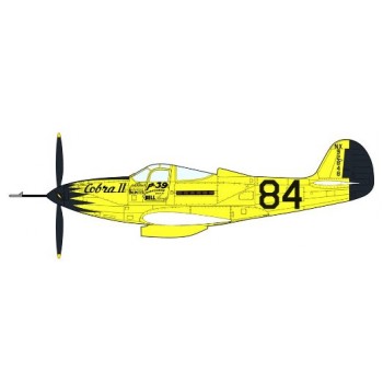 P-39Q AIRACOBRA ``THOMPSON TROPHY RACE`` E1/48