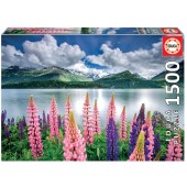 PUZZLE altramuces a orillas del lago de Sils, Suiza 1500 piezas