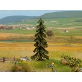 PICEA DE NORUEGA, 10,5cm de alto