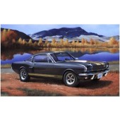 SHELBY MUSTANG GT 350 H E1/24