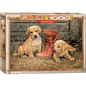 PUZZLE Algo viejo algo nuevo 1000 PIEZAS (Millette, Romero)