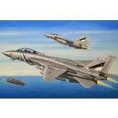 Caza estadounidense F-14D ``Super Tomcat`` E1/72