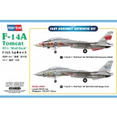 F-14A TOMCAT VF-1, ``Wolf Pack`` E1/72