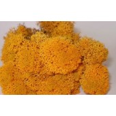 MUSGO AMARILLO 50gr