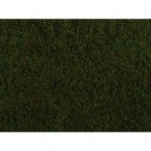 FOLLAJE, VERDE OLIVA