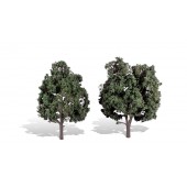 ARBOL MONTADO (Cool Shade)  (12.7 cm - 15.2 cm) 2 Unidades