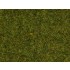 FIBRA DE HIERBA DE PRADERA 2,5mm, 20gr