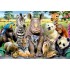 PUZZLE FOTO DE CLASE, 1000 PIEZAS